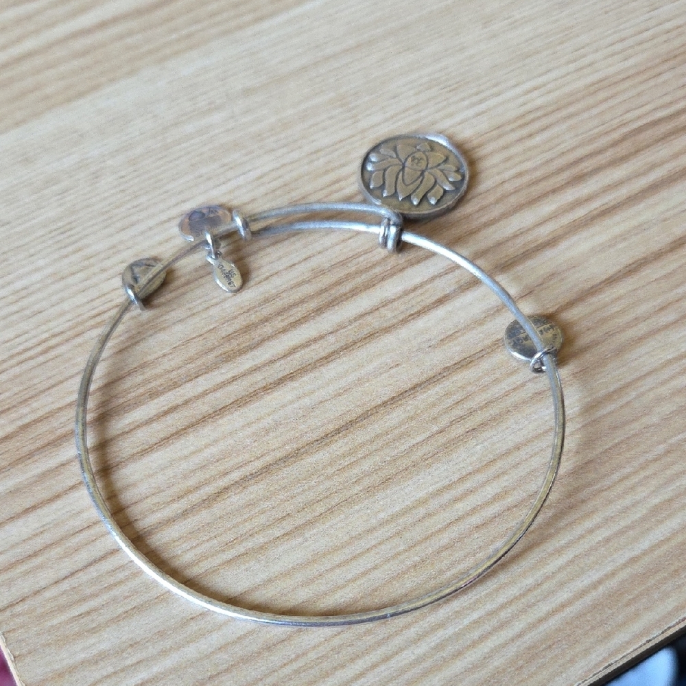 Alex and Ani Silver Lotus 2012 Charm Bangle Bracelet - Picture 6 of 8